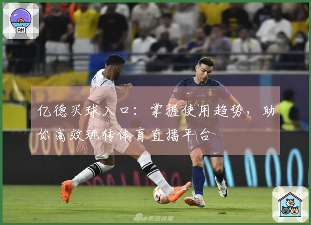 亿德买球入口：掌握使用趋势，助你高效玩转体育直播平台