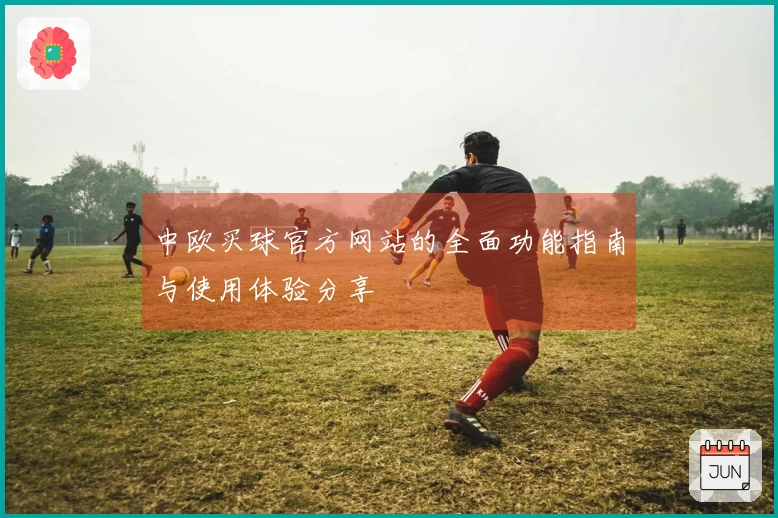 中欧买球官方网站的全面功能指南与使用体验分享
