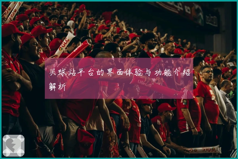 买球站平台的界面体验与功能介绍解析