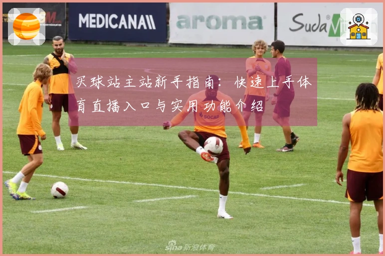 买球站主站新手指南：快速上手体育直播入口与实用功能介绍