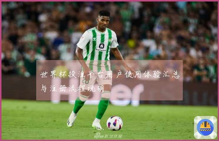 世界杯投注平台用户使用体验汇总与注册流程说明