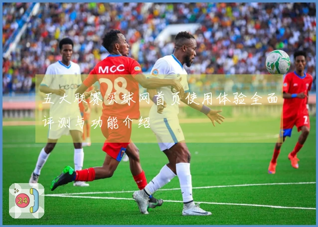 五大联赛买球网首页使用体验全面评测与功能介绍
