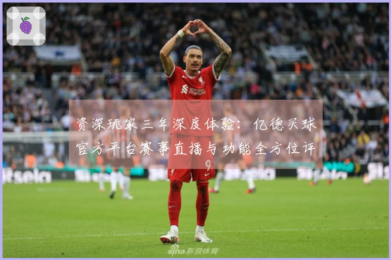 资深玩家三年深度体验：亿德买球官方平台赛事直播与功能全方位评测