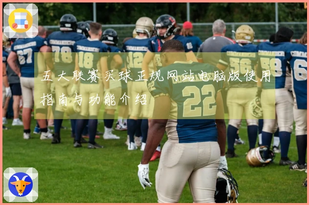 五大联赛买球正规网站电脑版使用指南与功能介绍