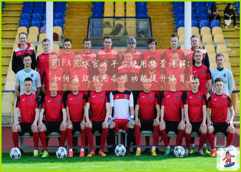 FIFA买球官方平台使用场景详解：如何高效利用各项功能提升体育直播体验