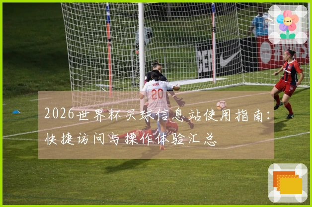 2026世界杯买球信息站使用指南：快捷访问与操作体验汇总