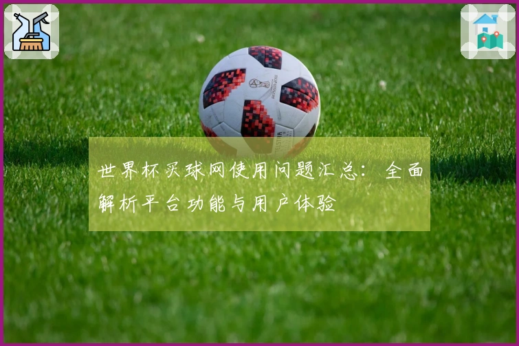 世界杯买球网使用问题汇总：全面解析平台功能与用户体验