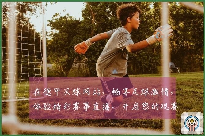 在德甲买球网站，畅享足球激情，体验精彩赛事直播，开启您的观赛之旅
