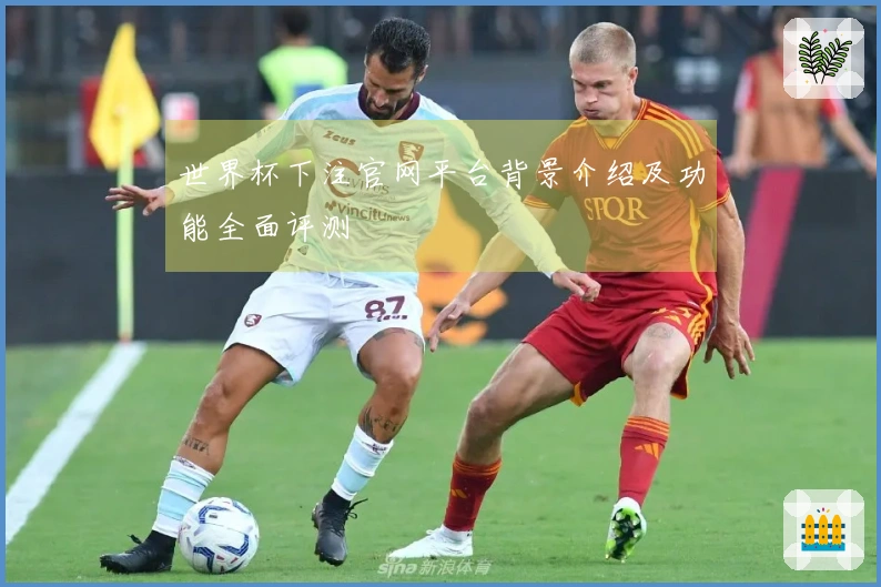 世界杯下注官网平台背景介绍及功能全面评测