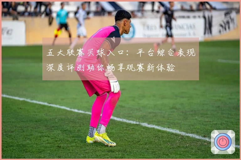 五大联赛买球入口：平台综合表现深度评测助你畅享观赛新体验