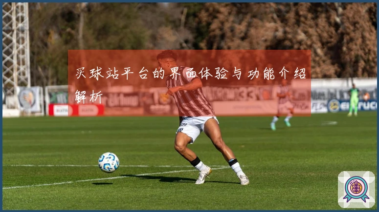 买球站平台的界面体验与功能介绍解析