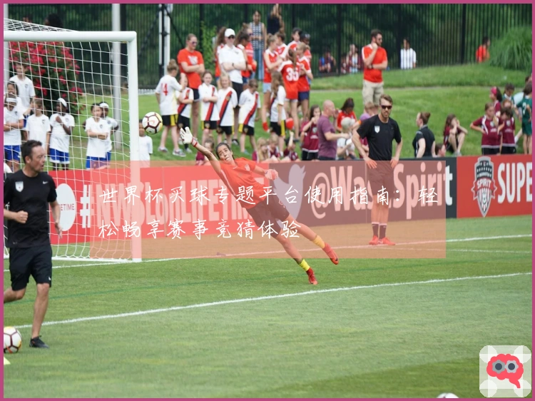 世界杯买球专题平台使用指南：轻松畅享赛事竞猜体验