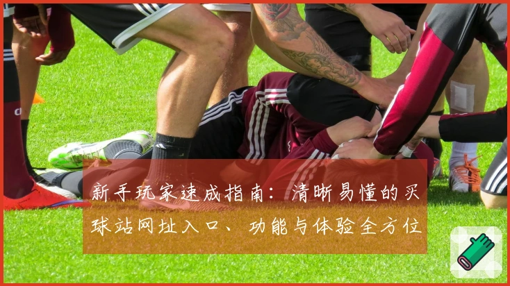 新手玩家速成指南：清晰易懂的买球站网址入口、功能与体验全方位介绍