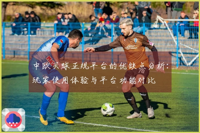 中欧买球正规平台的优缺点分析：玩家使用体验与平台功能对比